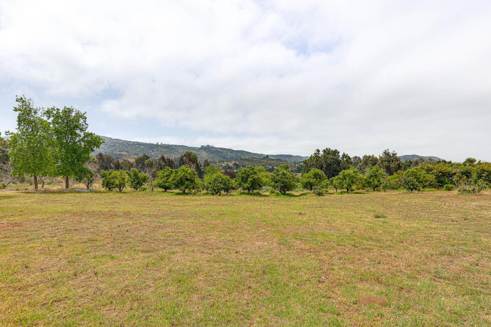 Escondido Vineyard Estate Walk To Wineries! Villa Bagian luar foto
