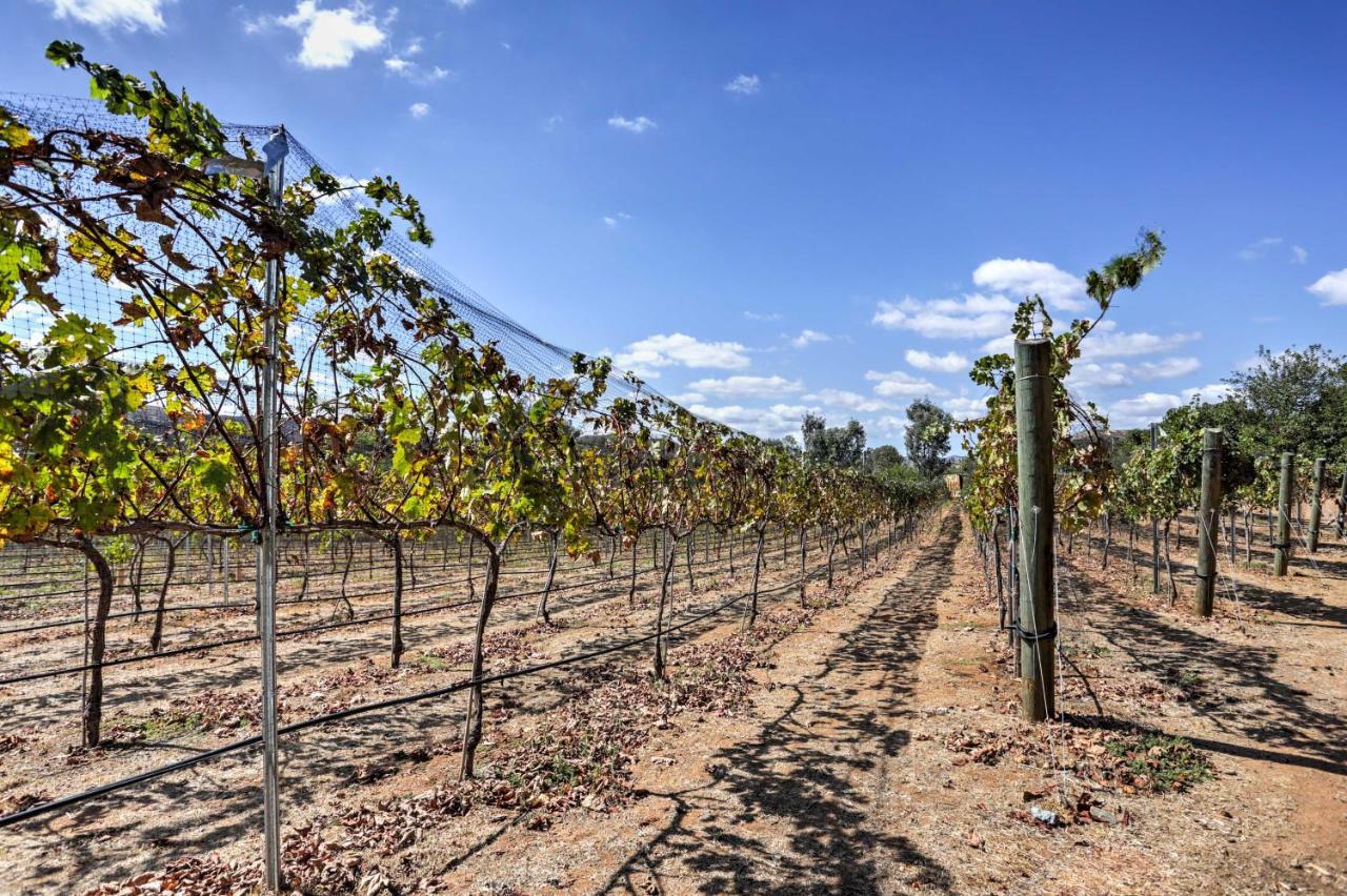 Escondido Vineyard Estate Walk To Wineries! Villa Bagian luar foto