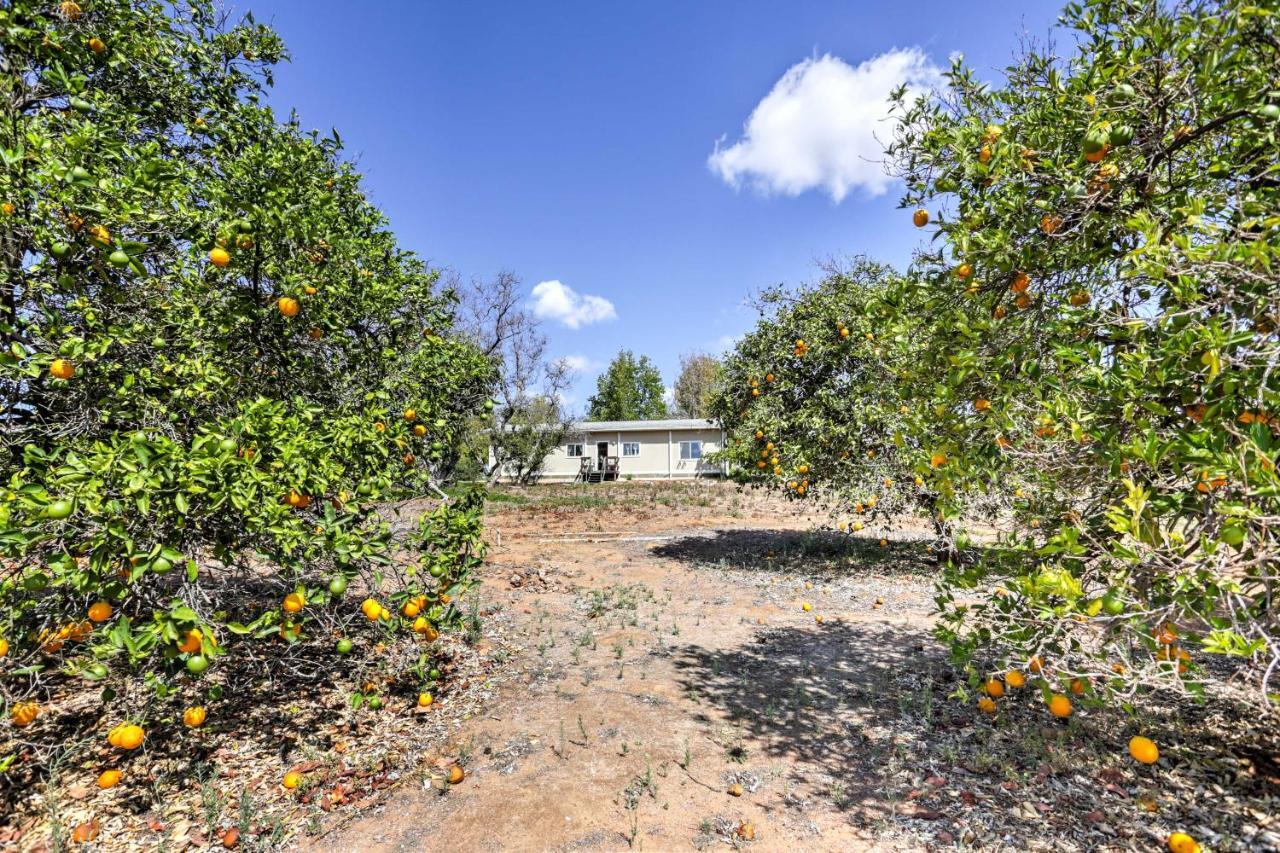 Escondido Vineyard Estate Walk To Wineries! Villa Bagian luar foto